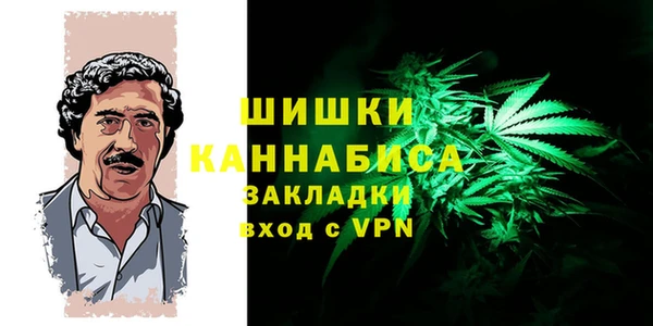 шишки Баксан