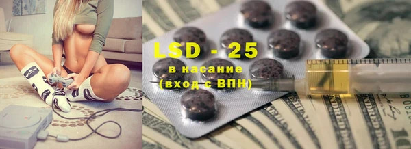 шишки Баксан
