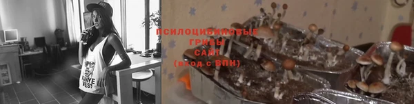хмурый Балабаново