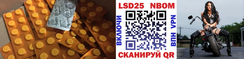 Лсд 25 экстази кислота  площадка формула  Губкин 