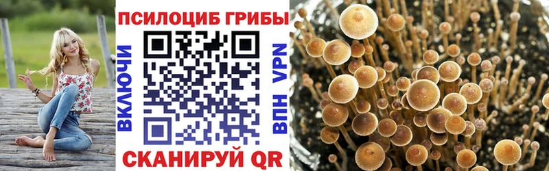 Псилоцибиновые грибы Psilocybine cubensis  Губкин 