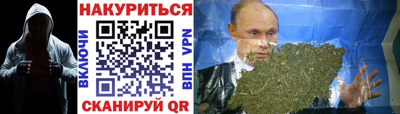 кракен как войти Губкин Каннабис конопля